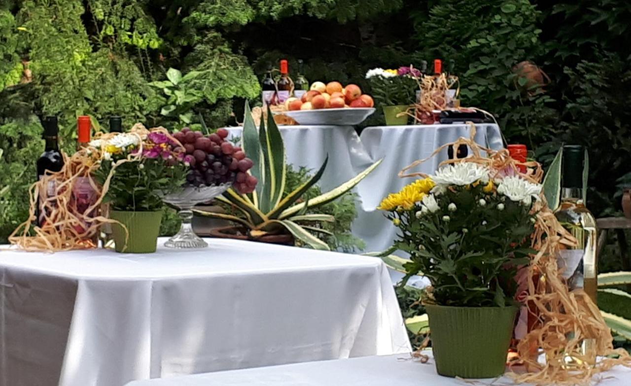 Fonagy Es Walter Vendeg- Es Borhaz Bed and Breakfast Vác Exteriör bild