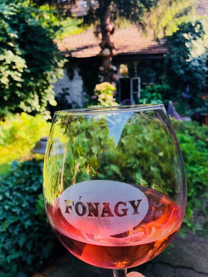Fonagy Es Walter Vendeg- Es Borhaz Bed and Breakfast Vác Rum bild